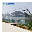 farming tomatoes greenhouse for sale